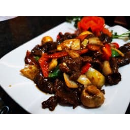402 Boeuf Mongolien